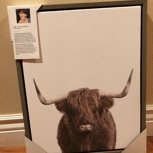 Highlander cow wall art